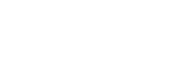 Wizards